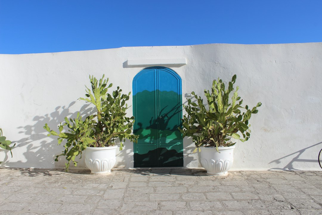 The sunlit, welcoming front entrance of a modern vacation rental property, featuring a stylish door and clean architecture, representing an attractive direct booking.